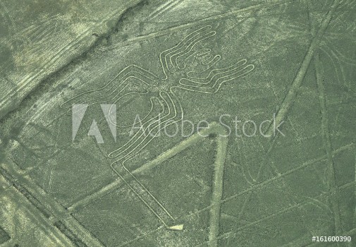 Picture of The Nazca Lines in Peru here you can see the Spider